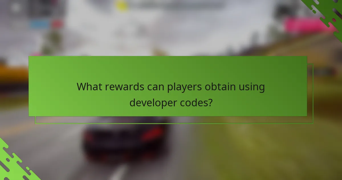 What rewards can players obtain using developer codes?